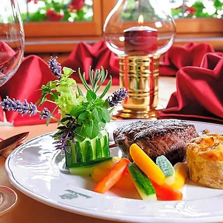 فندق Steinbach-hotel - Inklusive Chiemgaukarte
